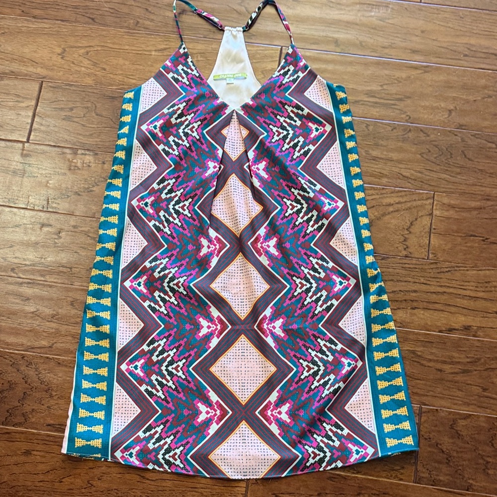 Gianni Bini Lined Dress
